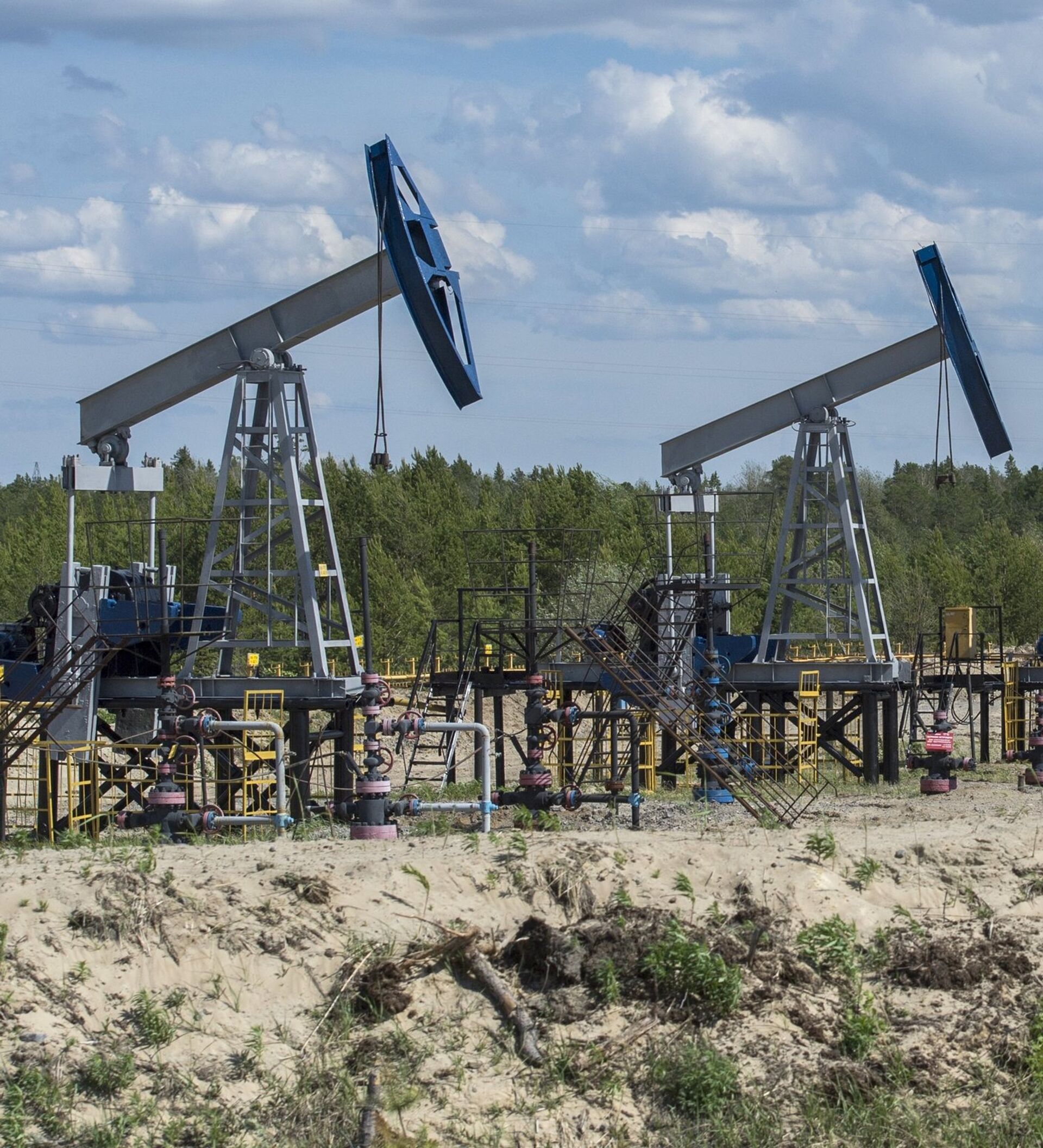 Нефть возобновляемая или нет. Нефть возобновляемая или нет