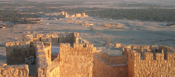 Развалины древнего города Пальмира - Sputnik Грузия