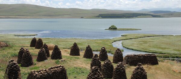 სოფლის მეურნეობა სოფლის მეურნეობა - Sputnik საქართველო