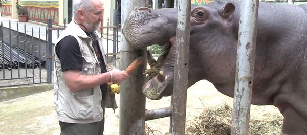 Посетители кормили животных в открывшемся после наводнения зоопарке в Тбилиси - Sputnik Грузия