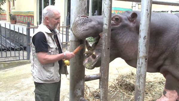 Посетители кормили животных в открывшемся после наводнения зоопарке в Тбилиси - Sputnik Грузия