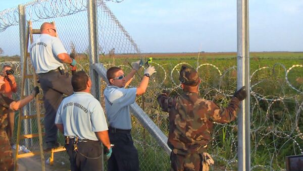 Колючая проволока и забор: Венгрия перекрыла лазейку в Европу для беженцев - Sputnik Грузия