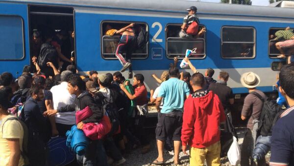 Беженцы через окна лезли в поезд, направляющийся в столицу Хорватии - Sputnik Грузия