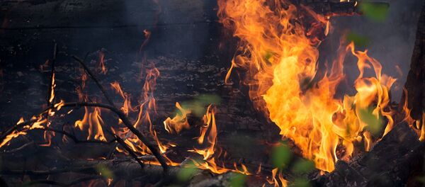 Пожары. Архивное фото - Sputnik Грузия