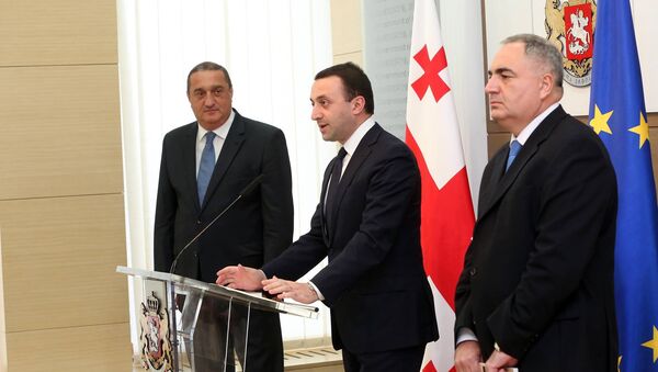 Руководителем Партнерского фонда Грузии стал лидер парламентского большинства Давид Саганелидзе - Sputnik Грузия