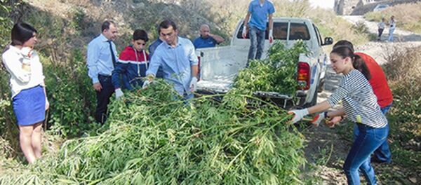 ანტინარკოტიკული აქციის ფარგლებში ახალციხეში 60 კილოგრამამდე კანაფი გაანადგურეს ანტინარკოტიკული აქციის ფარგლებში ახალციხეში 60 კილოგრამამდე კანაფი გაანადგურეს - Sputnik საქართველო