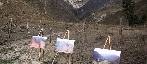 ბორჯომის ტყის აღდგენის პროექტი ბორჯომის ტყის აღდგენის პროექტი - Sputnik საქართველო