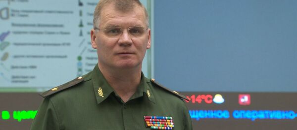 Спикер Минобороны РФ раскрыл подробности новых ударов ВКС РФ по ИГ в Сирии - Sputnik Грузия
