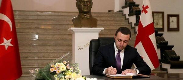 Премьер-министр Грузии Ираклий Гарибашвили в посольстве Турции - Sputnik Грузия