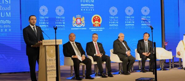 Форум Шелкового пути в Тбилиси - Sputnik Грузия