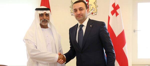 Шейх ОАЭ Нахайян бен Мубарак Аль Нахайян и Ираклий Гарибашвили - Sputnik Грузия