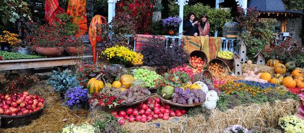 თბილისობა 2015 თბილისობა 2015 - Sputnik საქართველო