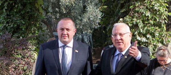 გიორგი მარგველაშვილი და რეუვენ რივლინი - Sputnik საქართველო