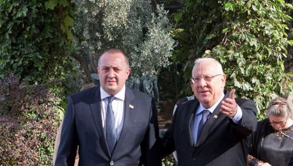Президент Грузии Георгий Маргвелашвили и президент Израиля Реувен Ривлин - Sputnik Грузия