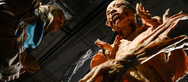 Выставка Тайны тела. Вселенная внутри в Москве Выставка Тайны тела. Вселенная внутри в Москве - Sputnik Грузия