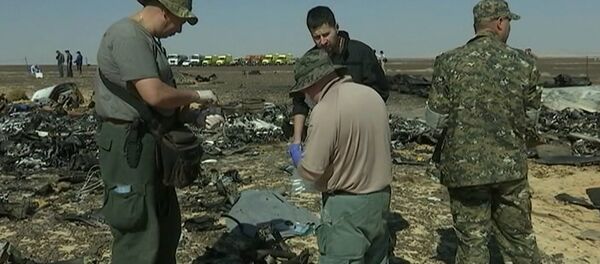 საგანგებო სიტუაციების სამსახურის თანამშრომლები A321 ნამსხვრევებიდან სინჯებს იღებდნენ საგანგებო სიტუაციების სამსახურის თანამშრომლები A321 ნამსხვრევებიდან სინჯებს იღებდნენ - Sputnik საქართველო