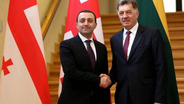 Премьер-министр Грузии и премье-министр Литвы - Sputnik Грузия