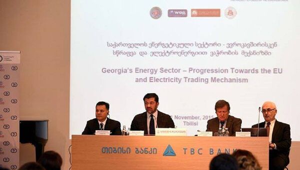 Конференция Энергетический сектор Грузии - стремление к Евросоюзу и механизм торговли электроэнергией - Sputnik Грузия