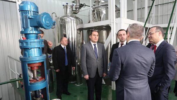 Премьер-министр Грузии Ираклий Гарибашвили открыл фармацевтическое предприятие Ynnovas - Sputnik Грузия