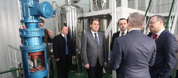 Премьер-министр Грузии Ираклий Гарибашвили открыл фармацевтическое предприятие Ynnovas - Sputnik Грузия