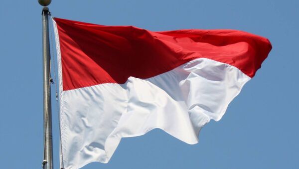 Флаг Индонезии - Sputnik Грузия
