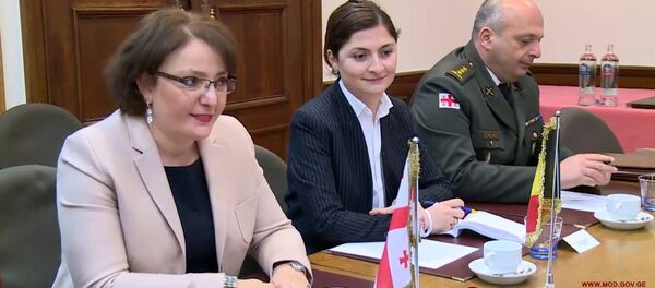 თინათინ ხიდაშელი სტევენ ვანდეპუსთან შეხვედრაზე თინათინ ხიდაშელი სტევენ ვანდეპუსთან შეხვედრაზე - Sputnik საქართველო