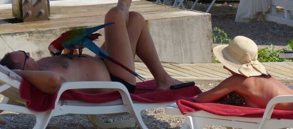 ტურისტები ანტლიაში ტურისტები ანტლიაში - Sputnik საქართველო