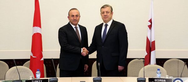 საქართველოსა და თურქეთის საგარეო საქმეთა მინისტრები _ გიორგი კვირიკაშვილი და მევლუთ ჩავუშოღლუ საქართველოსა და თურქეთის საგარეო საქმეთა მინისტრები _ გიორგი კვირიკაშვილი და მევლუთ ჩავუშოღლუ - Sputnik საქართველო