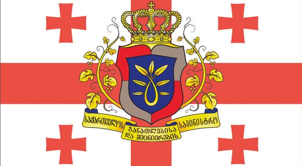 საქართველოს განათლებისა და მეცნიერების სამინისტრო - Sputnik საქართველო