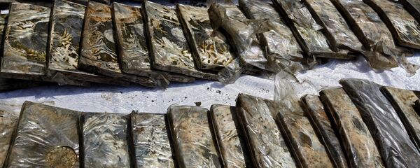 Пакеты с гашишем - Sputnik Грузия