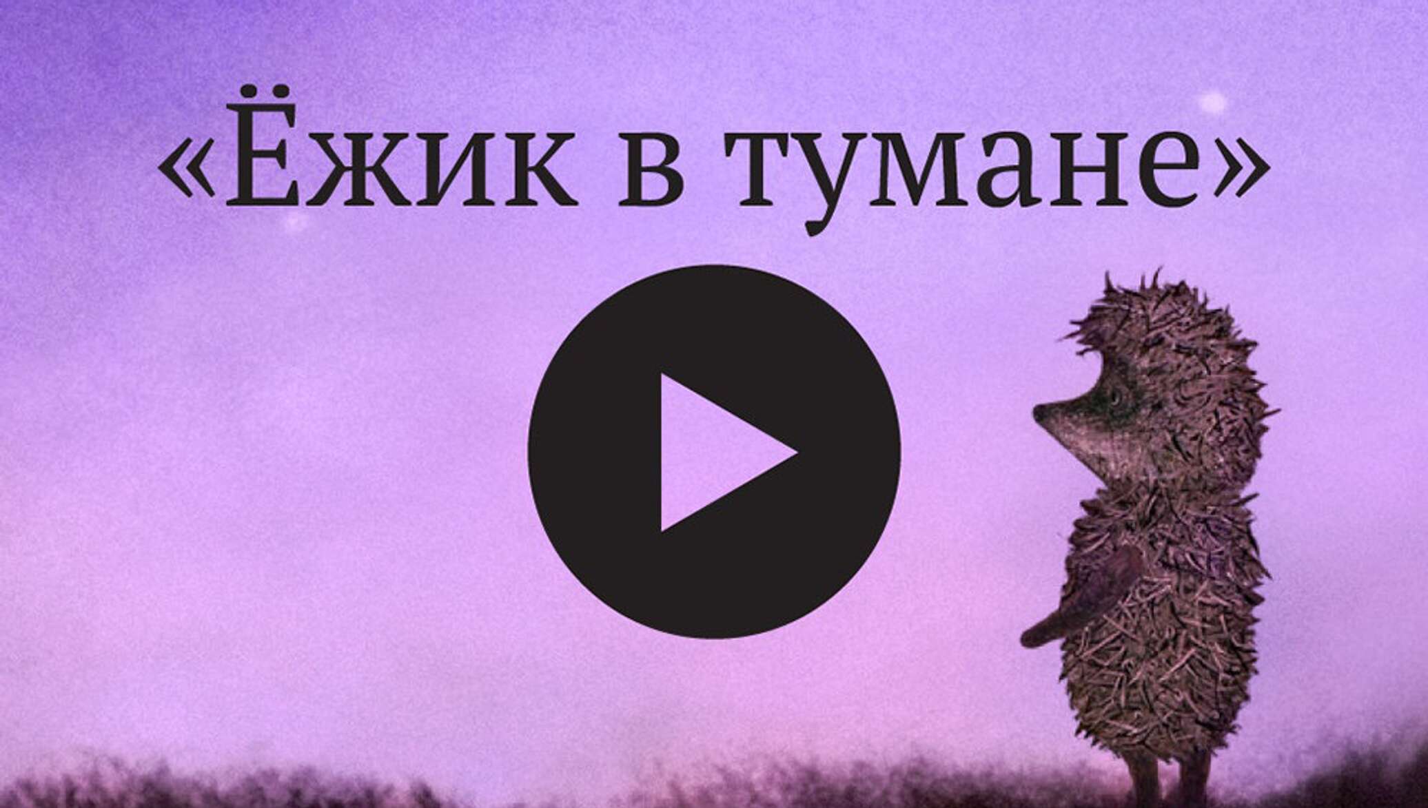 ёЖик в тумане прикол