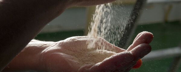 ფქვილი ფქვილი - Sputnik საქართველო