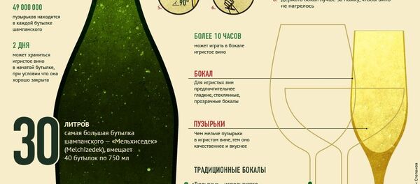 Главный новогодний напиток: как открыть и с чем пить - Sputnik Грузия