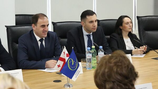 Мэр Тбилиси рассказал о реформах ведомства представителям Совет Европы - Sputnik Грузия