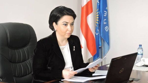 Глава парламентского комитета по правам человека Эка Беселия - Sputnik Грузия