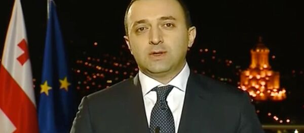 ირაკლი ღარიბაშვილი ირაკლი ღარიბაშვილი - Sputnik საქართველო