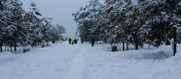 ბათუმის ბულვარი ბათუმის ბულვარი - Sputnik საქართველო