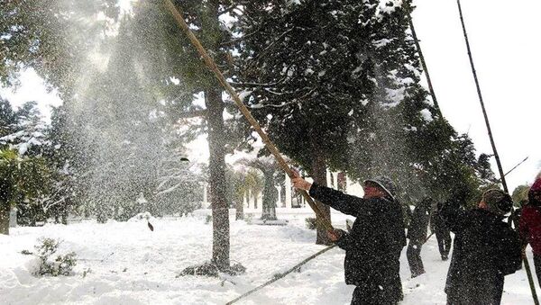 снегопад в Батуми, Аджария - Sputnik Грузия