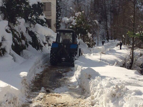 Неожиданно снежными оказались первые дни января для жителей черноморского курортного города Кобулети, Аджария. - Sputnik Грузия