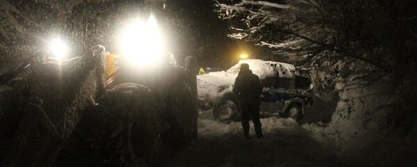 снегопад в Озургети, Гурия - Sputnik Грузия