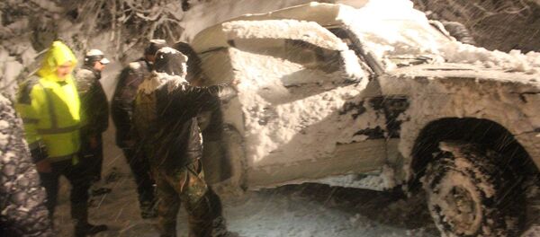 снегопад в Озургети, Гурия - Sputnik Грузия