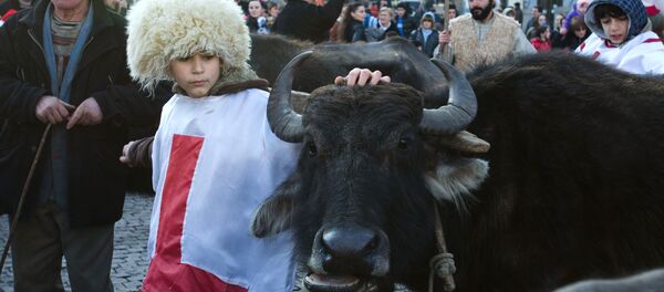 საშობაო მსვლელობა თბილისში — ალილოობა საშობაო მსვლელობა თბილისში — ალილოობა - Sputnik საქართველო