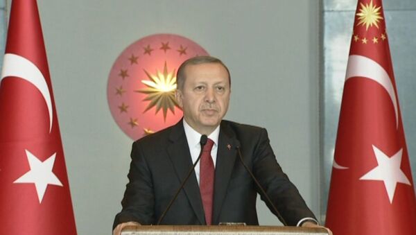 Эрдоган рассказал, кто устроил взрыв в центре Стамбула - Sputnik Грузия