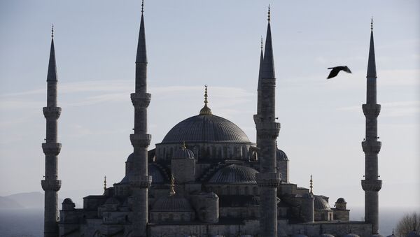 Мечеть Султана Ахмеда в Стамбуле - Sputnik Грузия