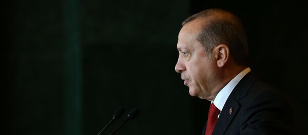 Тайип Реджеп Эрдоган, архивное фото Тайип Реджеп Эрдоган, архивное фото - Sputnik Грузия