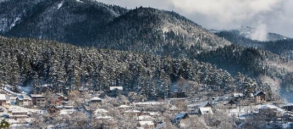 Зима в Грузии - Sputnik Грузия