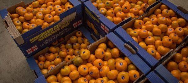 მანდარინები ექსპორტისათვის მანდარინები ექსპორტისათვის - Sputnik საქართველო