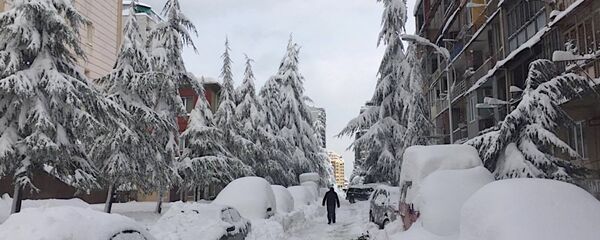 თოვლიანი ბათუმი თოვლიანი ბათუმი - Sputnik საქართველო