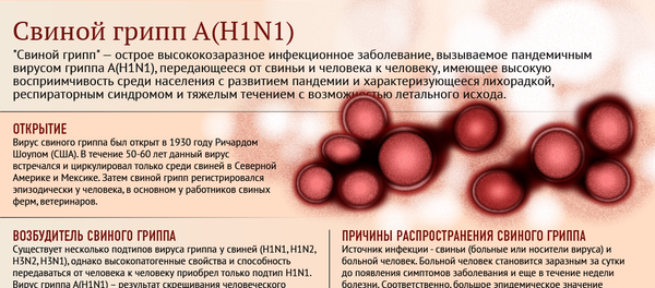Как защититься от свиного гриппа - Sputnik Грузия