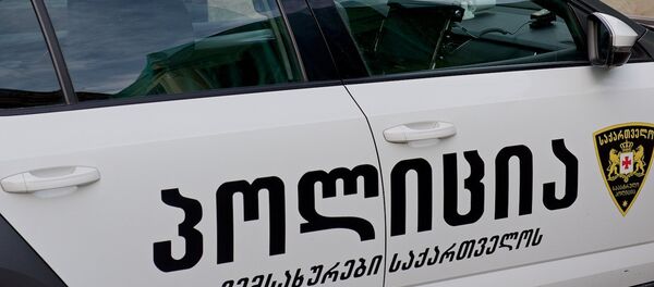 პოლიცია პოლიცია - Sputnik საქართველო